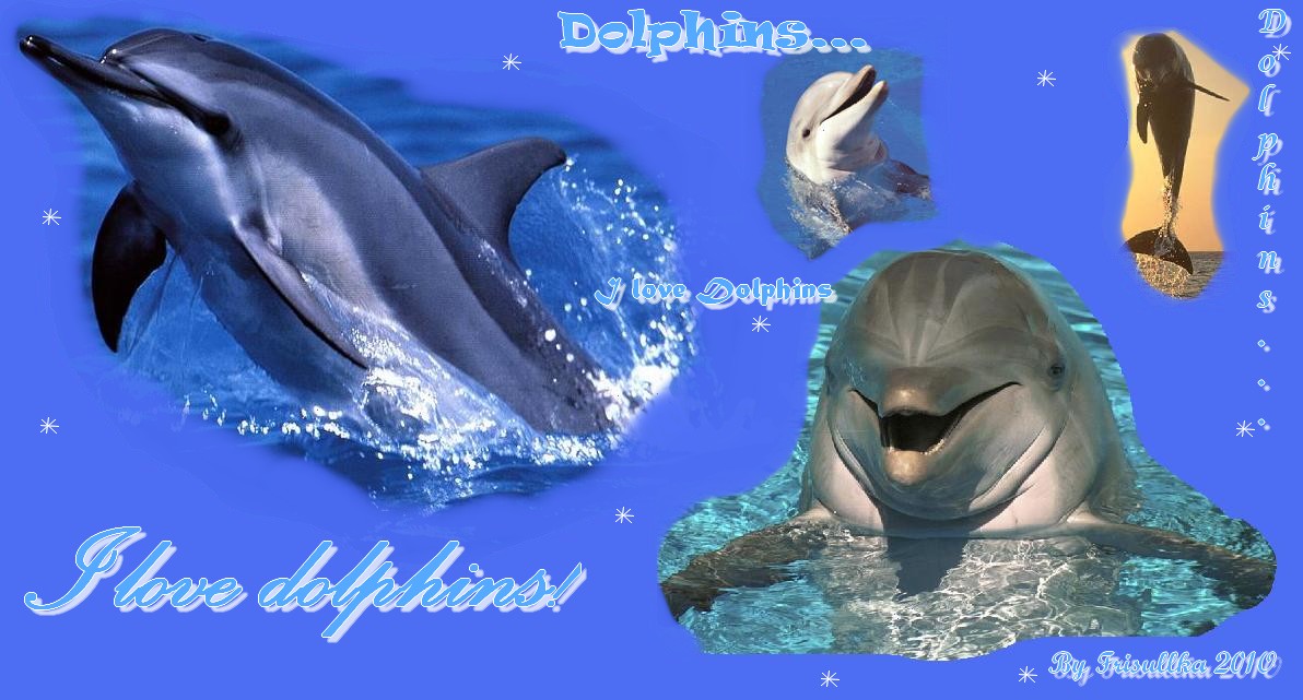 delfíni.jpg